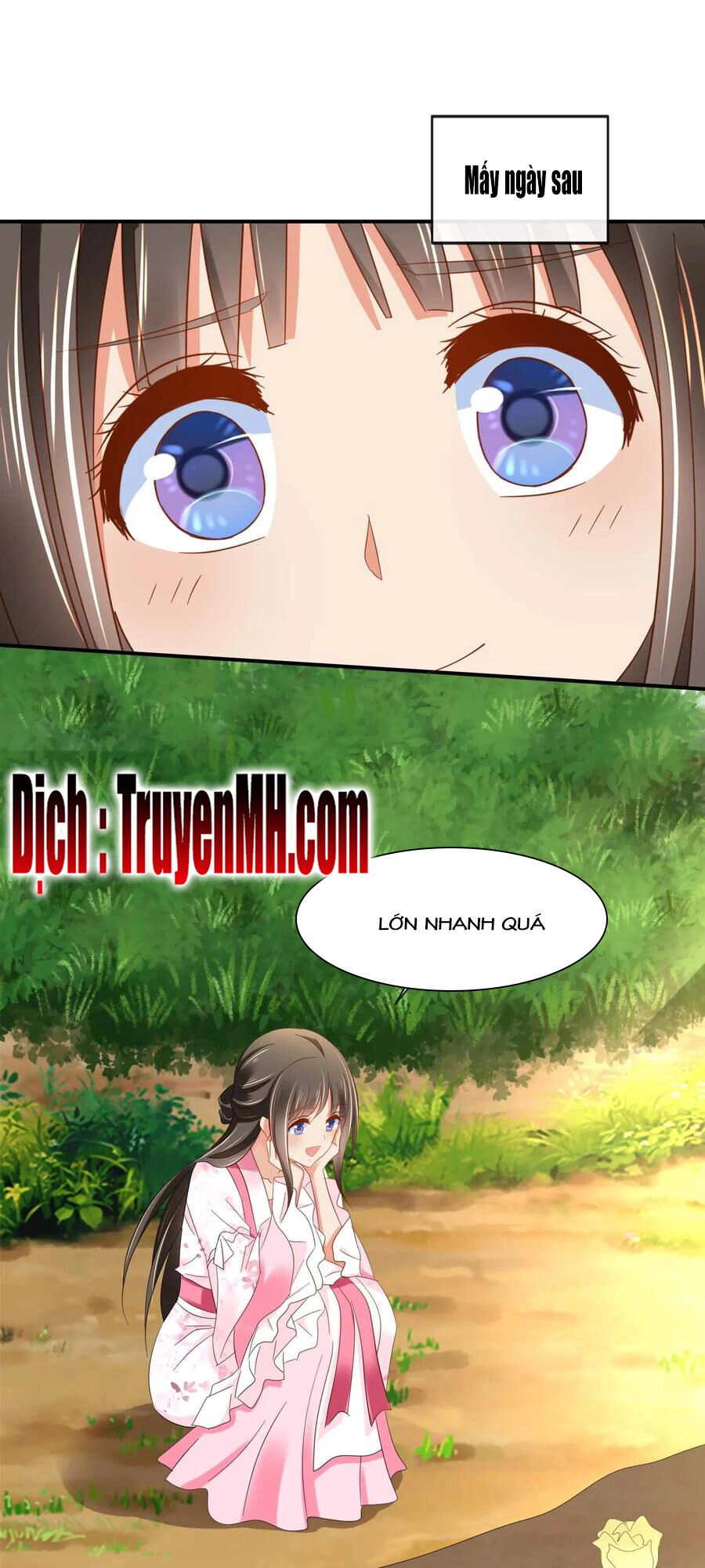 Lãnh Cung Phế Hậu Muốn Nghịch Thiên Chapter 211 - 6