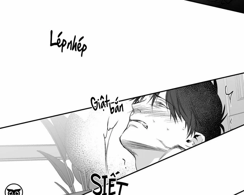 Khi Đôi Chân Thôi Bước Chapter 40 - 63