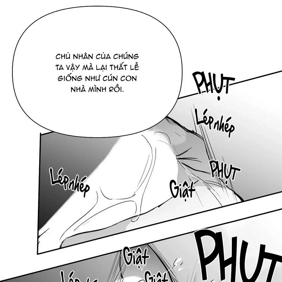 Khi Đôi Chân Thôi Bước Chapter 48 - 13