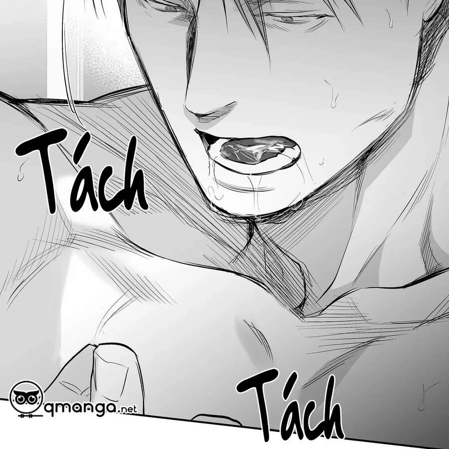 Khi Đôi Chân Thôi Bước Chapter 48 - 75