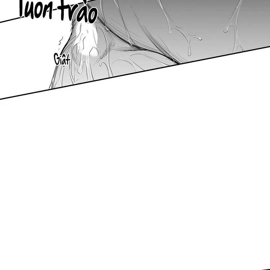 Khi Đôi Chân Thôi Bước Chapter 48 - 108