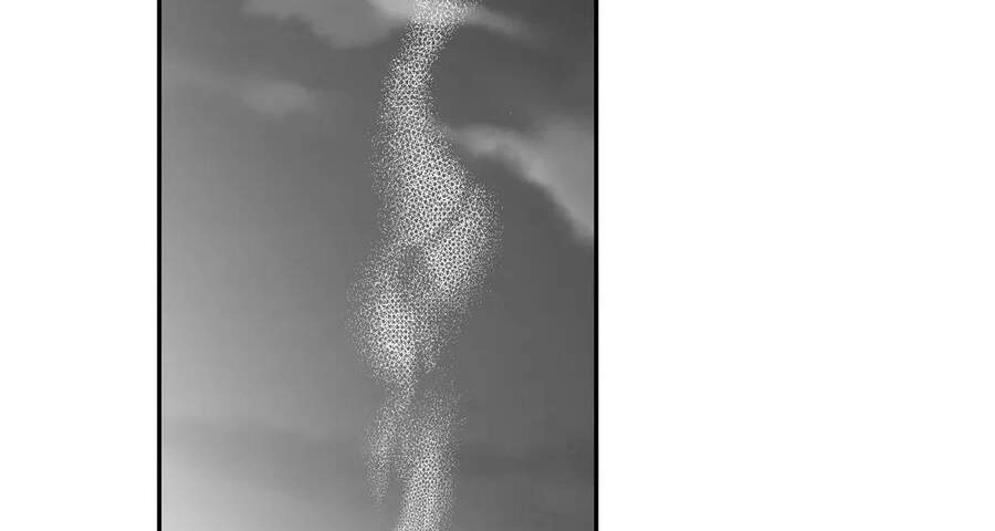 Khi Đôi Chân Thôi Bước Chapter 49 - 79