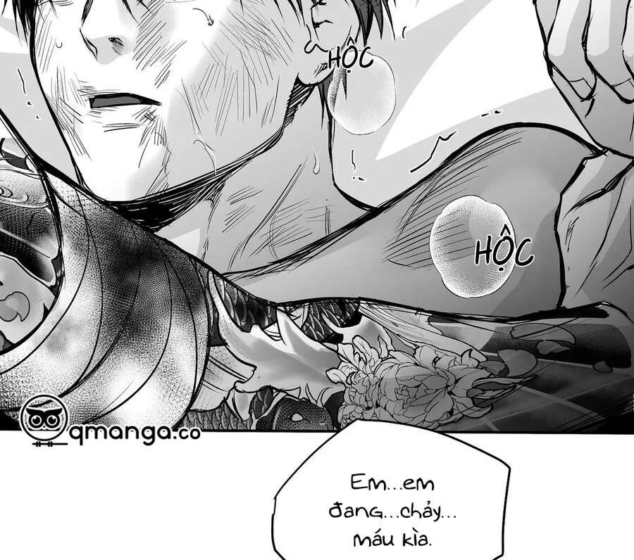 Khi Đôi Chân Thôi Bước Chapter 51 - 151