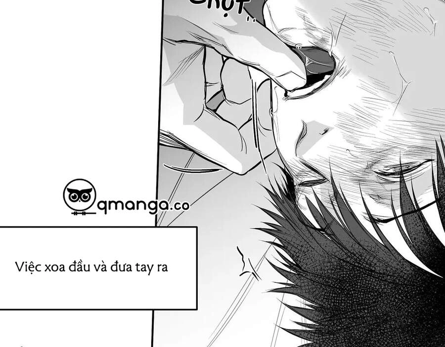 Khi Đôi Chân Thôi Bước Chapter 52 - 52