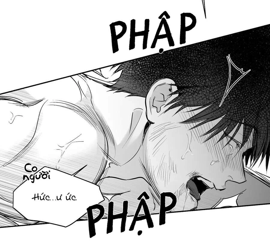 Khi Đôi Chân Thôi Bước Chapter 52 - 98