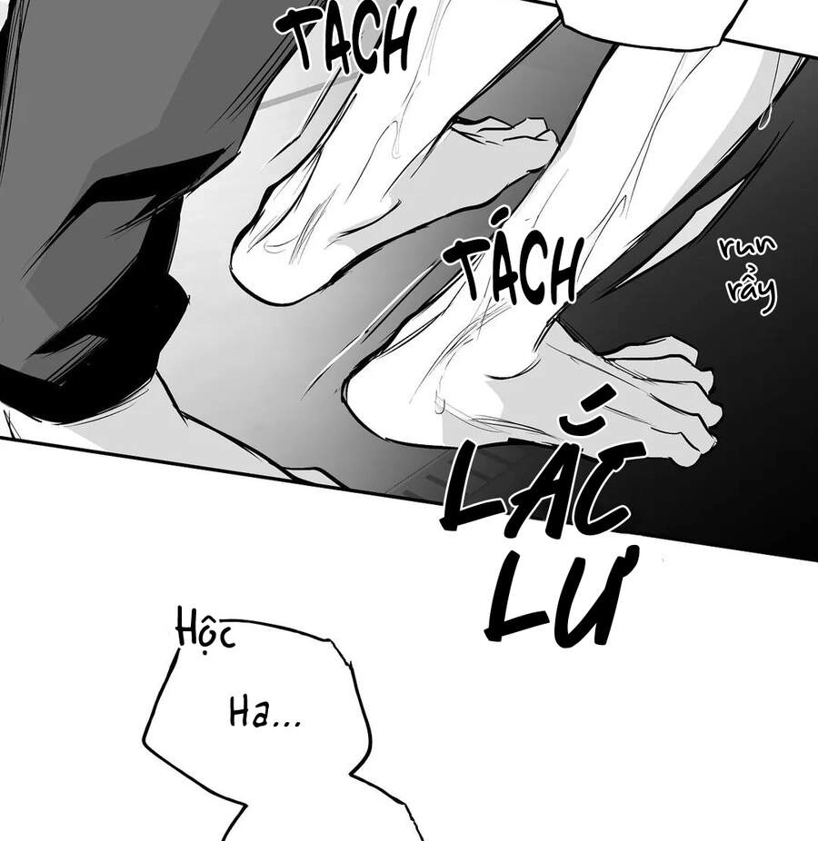 Khi Đôi Chân Thôi Bước Chapter 57 - 95