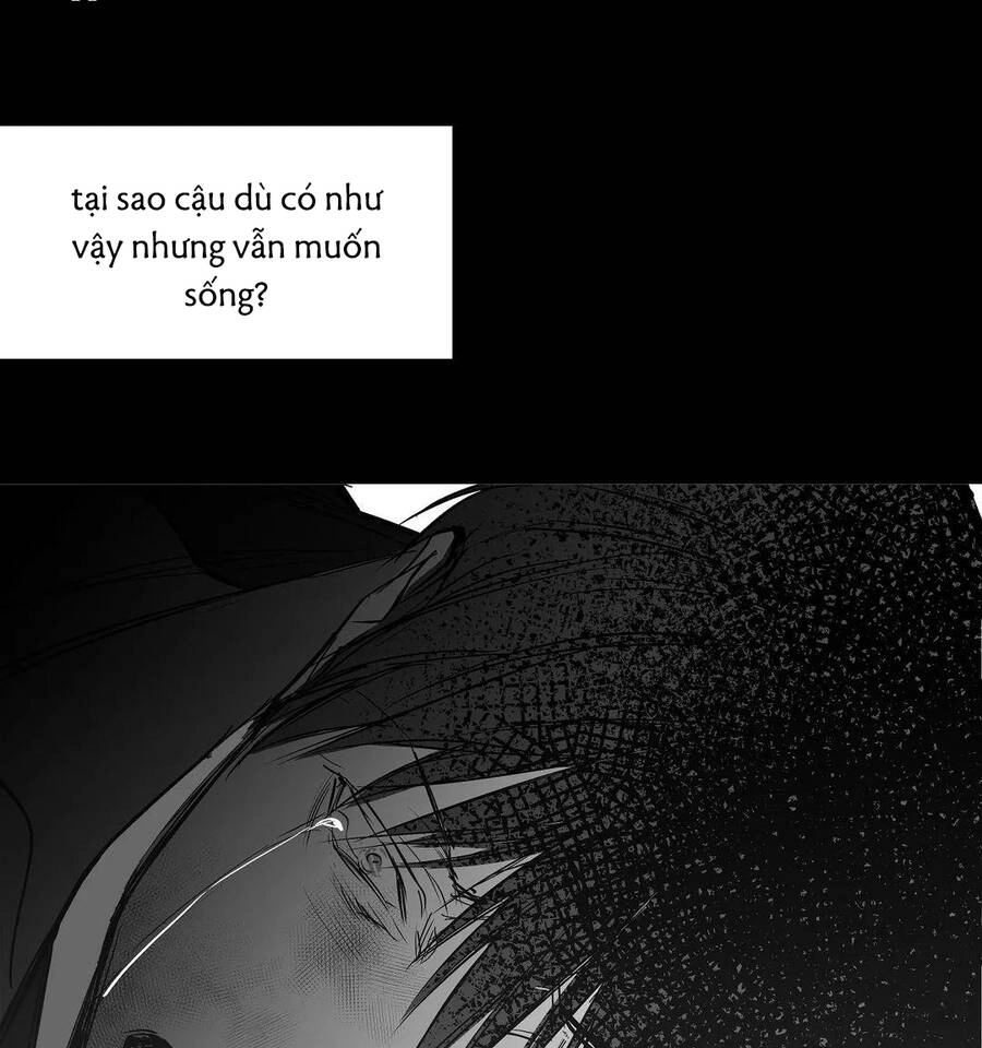 Khi Đôi Chân Thôi Bước Chapter 61 - 95