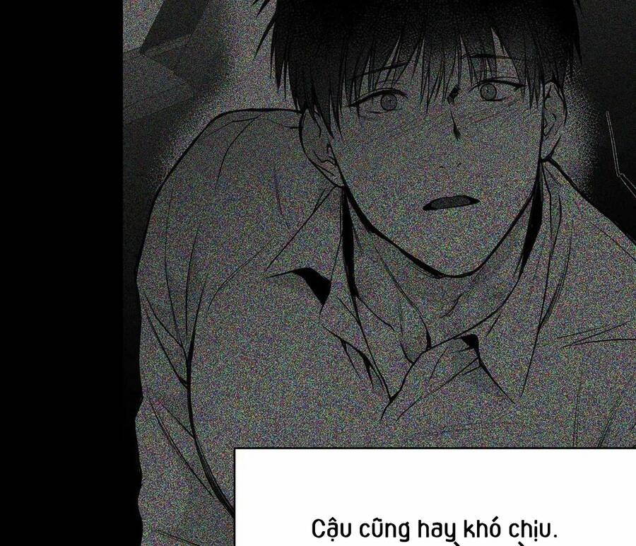 Khi Đôi Chân Thôi Bước Chapter 63 - 91