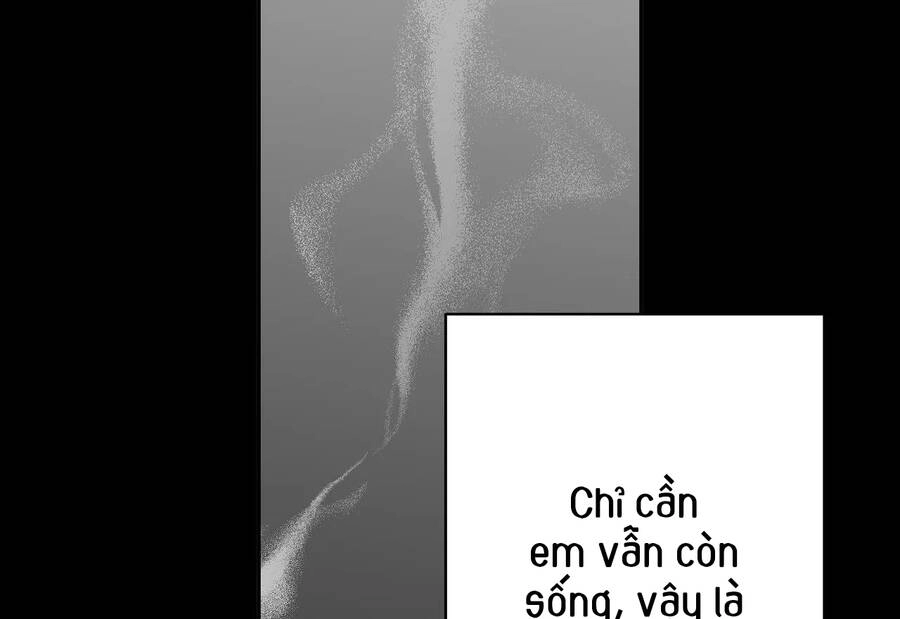 Khi Đôi Chân Thôi Bước Chapter 67 - 210