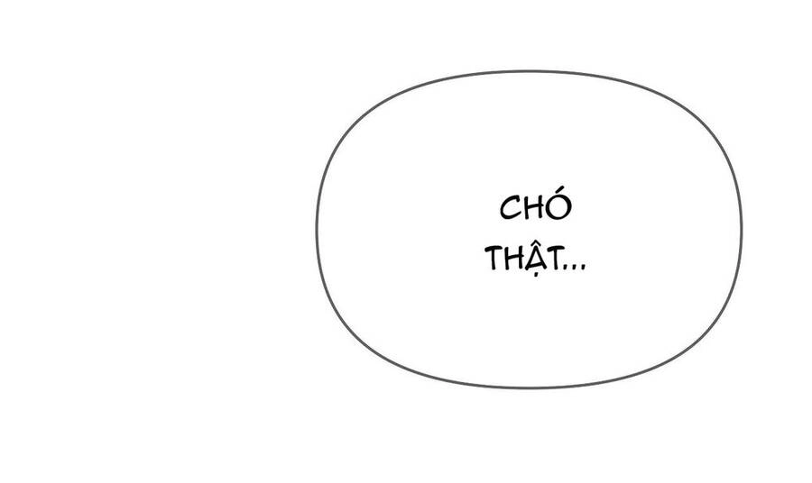 Khi Đôi Chân Thôi Bước Chapter 71 - 171