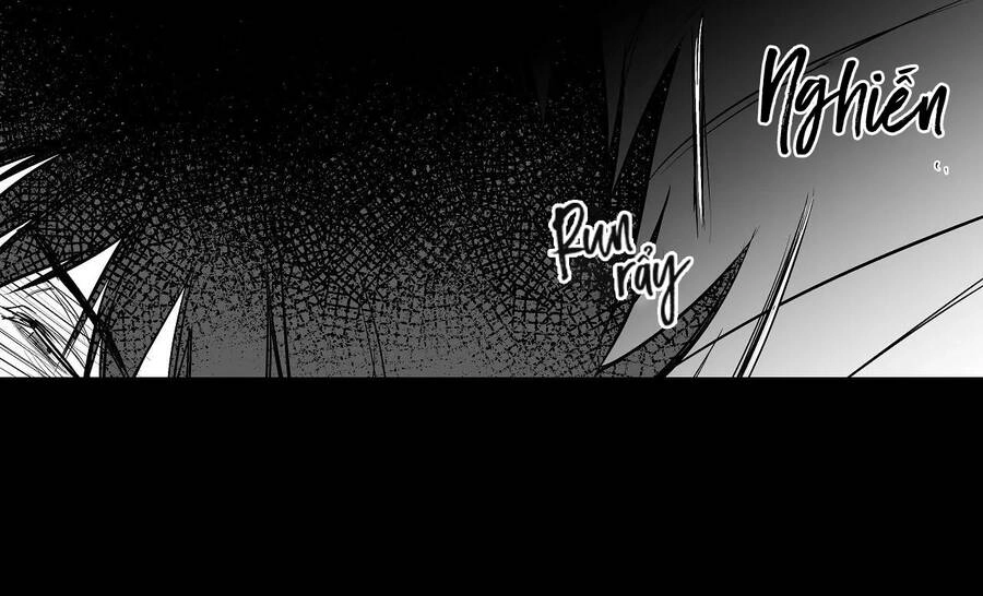 Khi Đôi Chân Thôi Bước Chapter 72 - 130