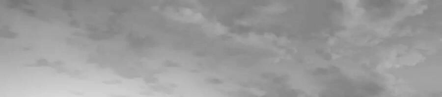 Khi Đôi Chân Thôi Bước Chapter 73 - 231