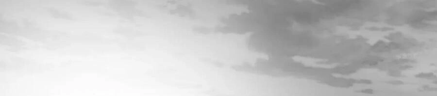 Khi Đôi Chân Thôi Bước Chapter 73 - 232