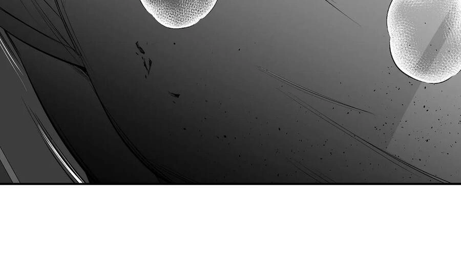 Khi Đôi Chân Thôi Bước Chapter 77 - 224