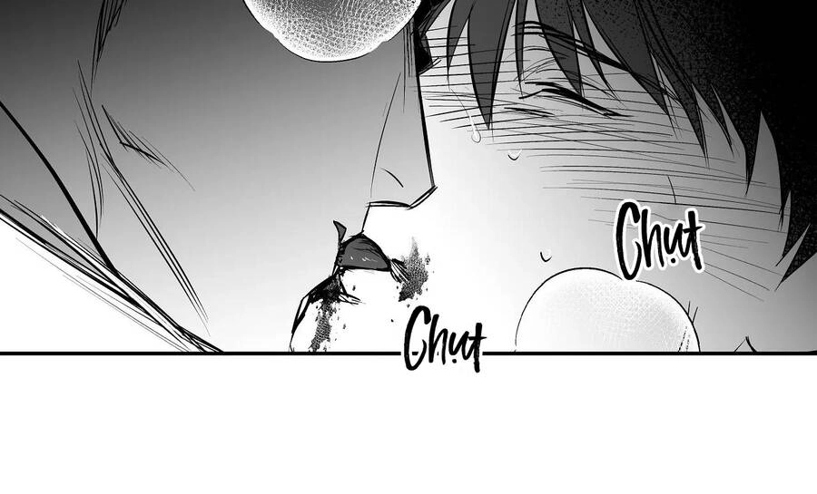 Khi Đôi Chân Thôi Bước Chapter 77 - 277