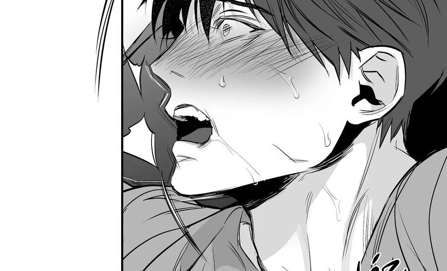 Khi Đôi Chân Thôi Bước Chapter 78 - 135