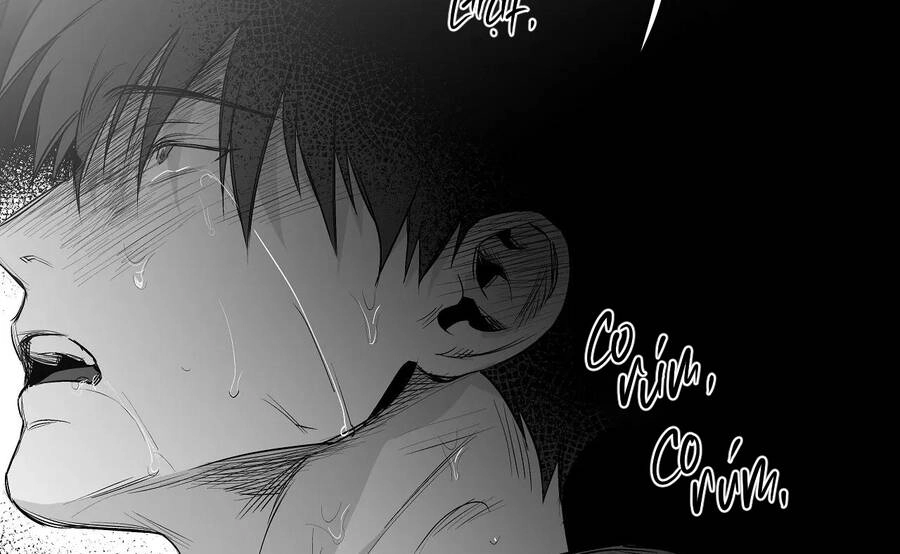 Khi Đôi Chân Thôi Bước Chapter 79 - 198