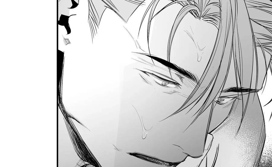 Khi Đôi Chân Thôi Bước Chapter 79 - 207