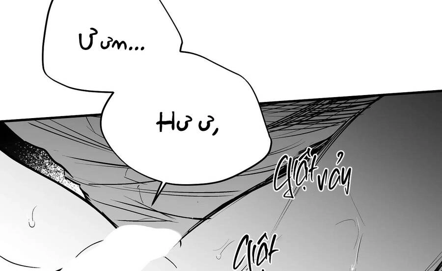 Khi Đôi Chân Thôi Bước Chapter 79 - 228