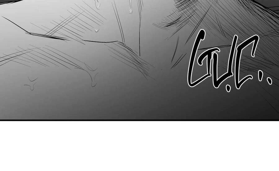 Khi Đôi Chân Thôi Bước Chapter 79 - 254