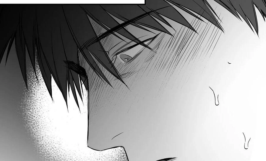 Khi Đôi Chân Thôi Bước Chapter 80 - 172