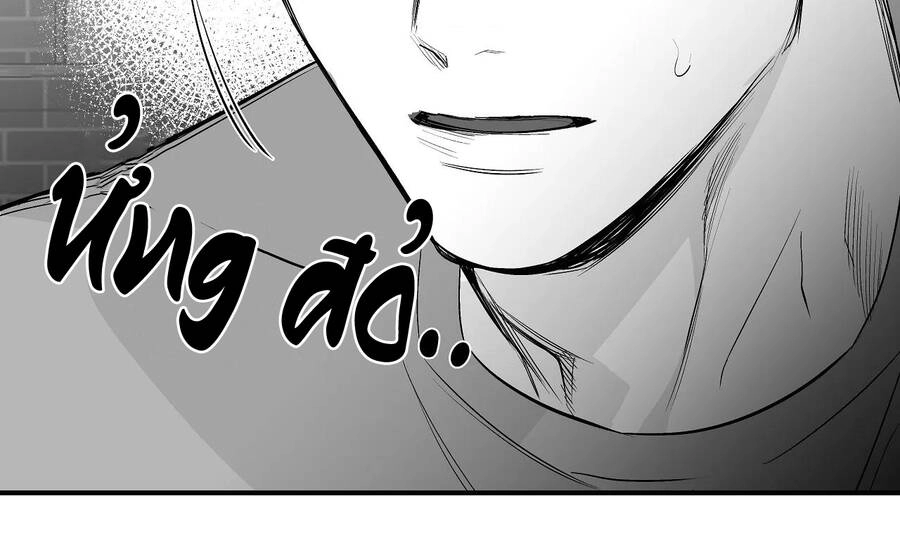 Khi Đôi Chân Thôi Bước Chapter 80 - 197