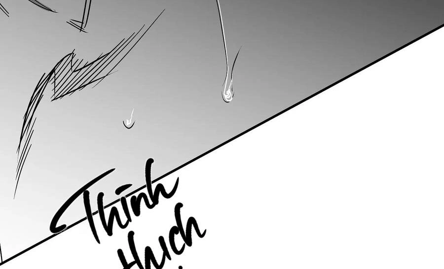 Khi Đôi Chân Thôi Bước Chapter 81 - 131