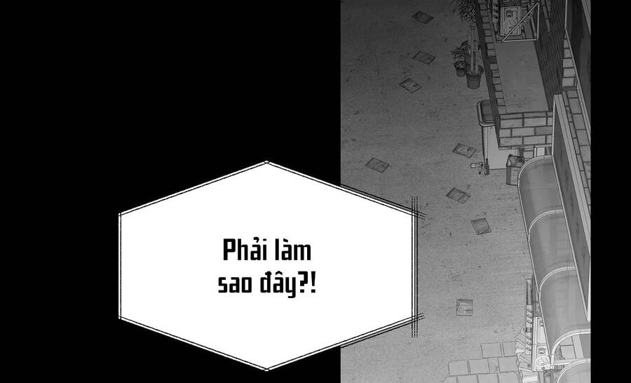 Khi Đôi Chân Thôi Bước Chapter 81 - 262