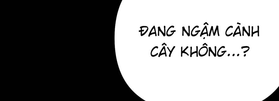 Khi Đôi Chân Thôi Bước Chapter 81 - 290