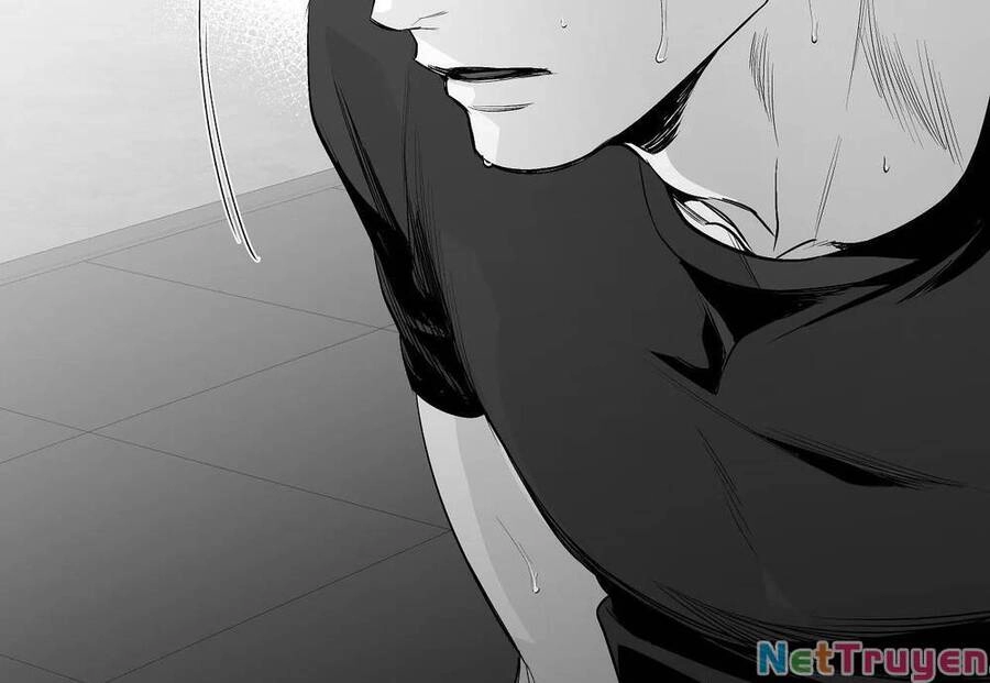 Khi Đôi Chân Thôi Bước Chapter 90 - 228