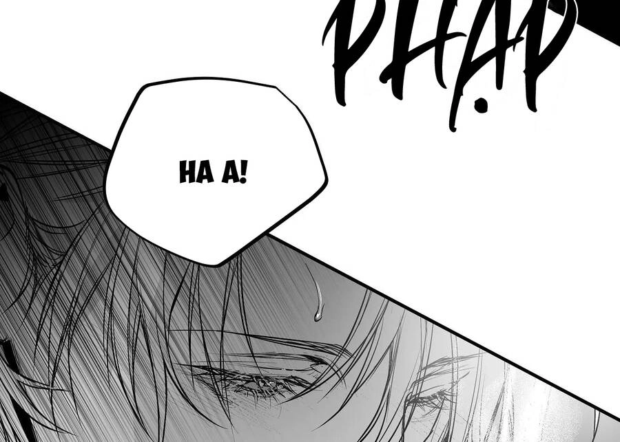 Khi Đôi Chân Thôi Bước Chapter 91 - 174