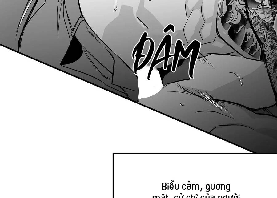 Khi Đôi Chân Thôi Bước Chapter 91 - 213