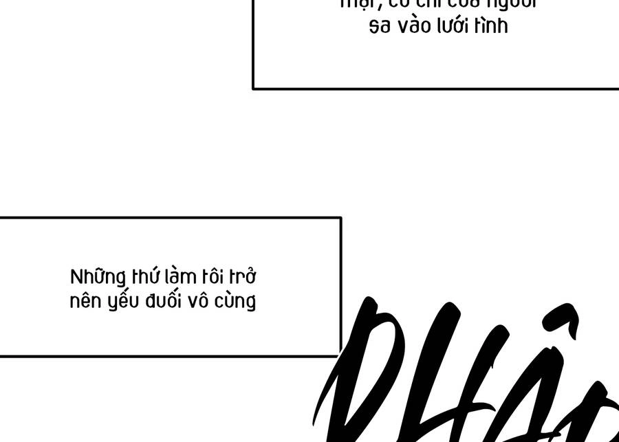 Khi Đôi Chân Thôi Bước Chapter 91 - 214