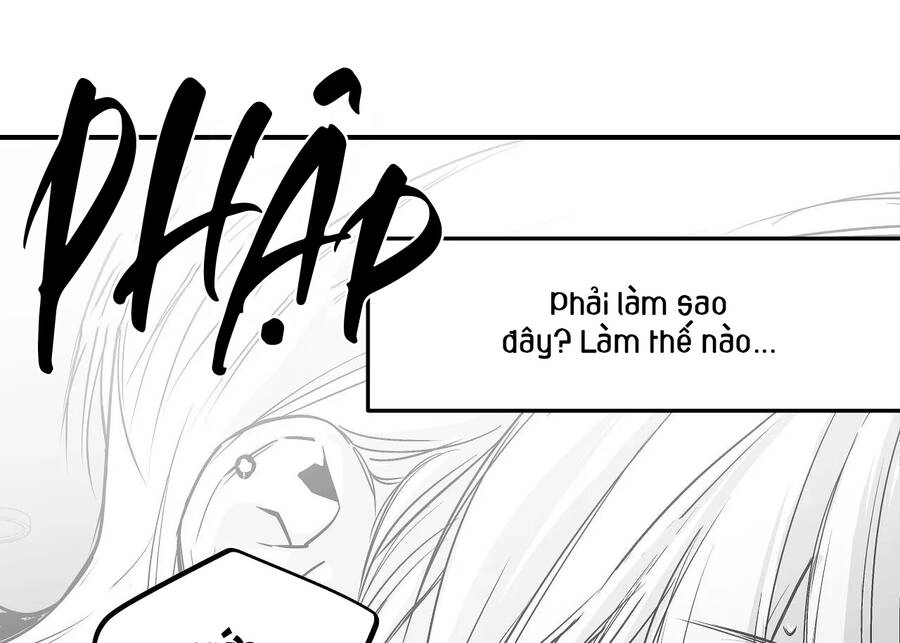 Khi Đôi Chân Thôi Bước Chapter 91 - 217