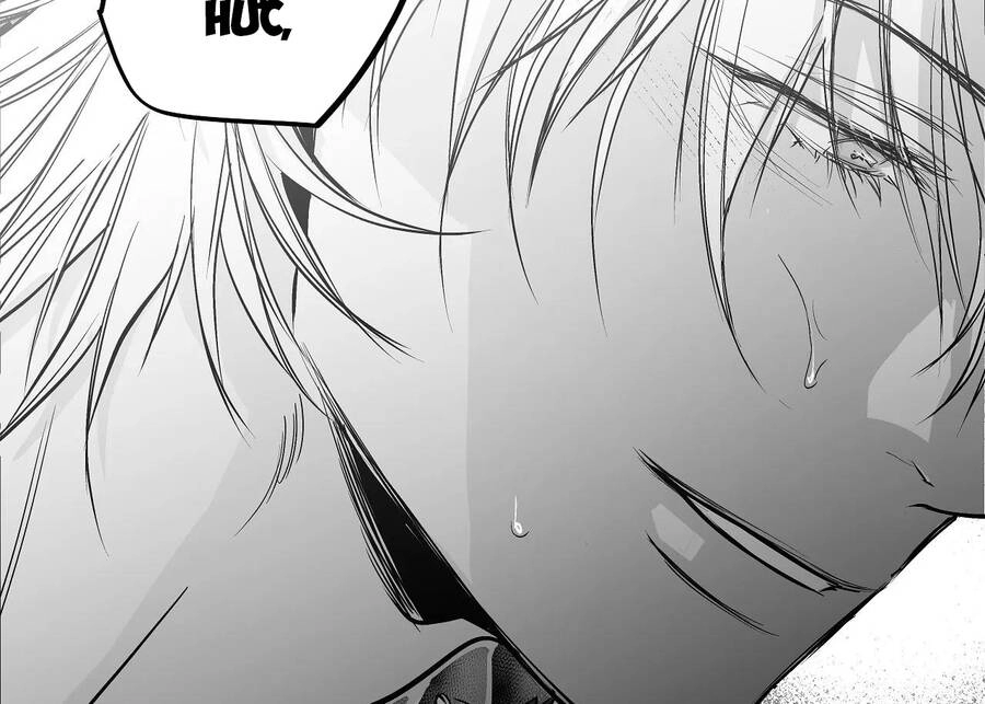 Khi Đôi Chân Thôi Bước Chapter 91 - 218