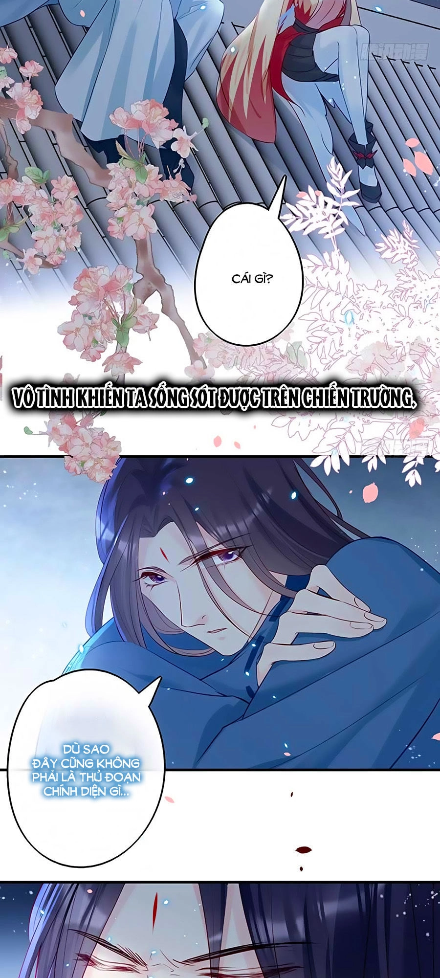 Liệt Hỏa Cuồng Phi: Vương Gia Thú Tính Muốn Sủng Chapter 36 - 22