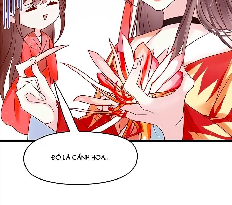 Liệt Hỏa Cuồng Phi: Vương Gia Thú Tính Muốn Sủng Chapter 43 - 9