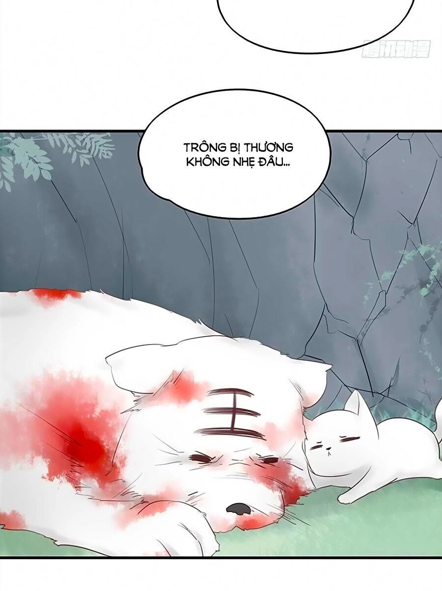 Liệt Hỏa Cuồng Phi: Vương Gia Thú Tính Muốn Sủng Chapter 48 - 28