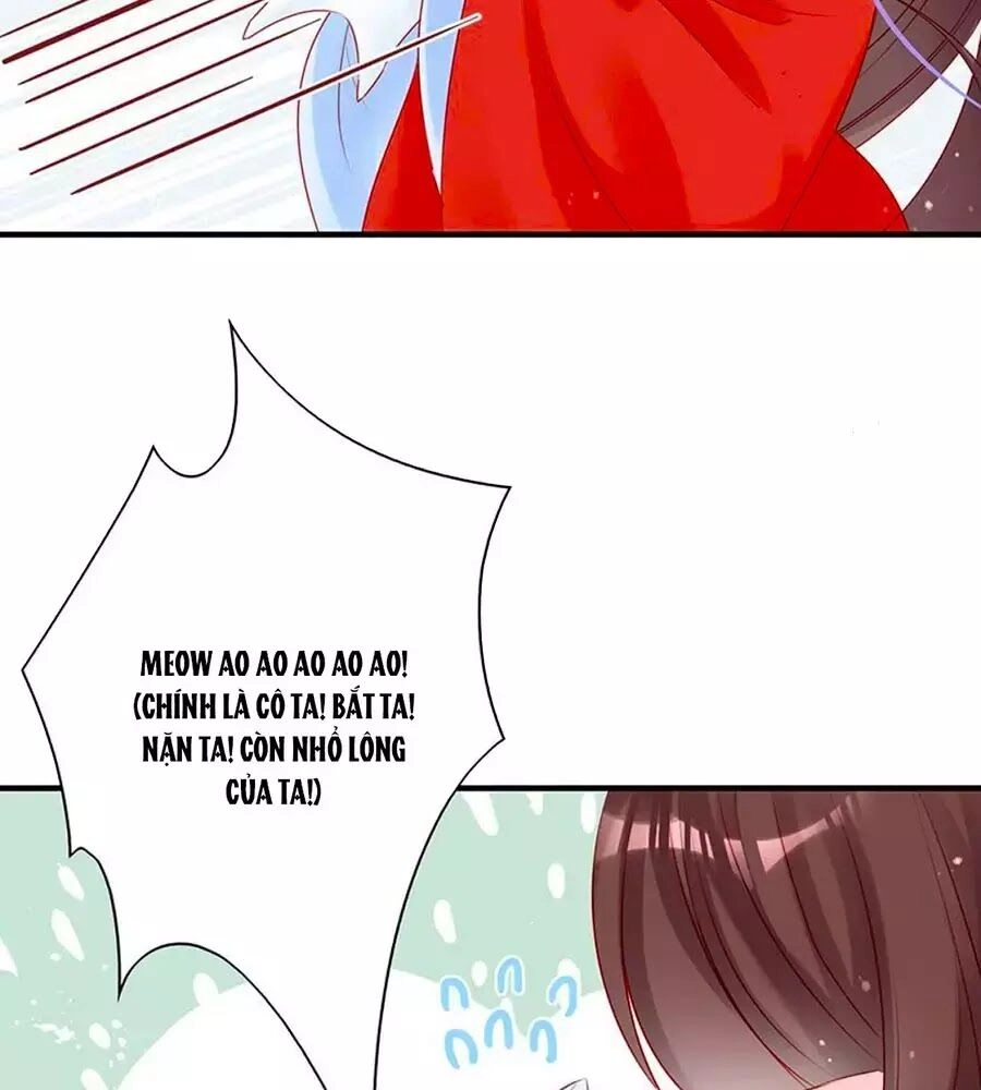 Liệt Hỏa Cuồng Phi: Vương Gia Thú Tính Muốn Sủng Chapter 52 - 19