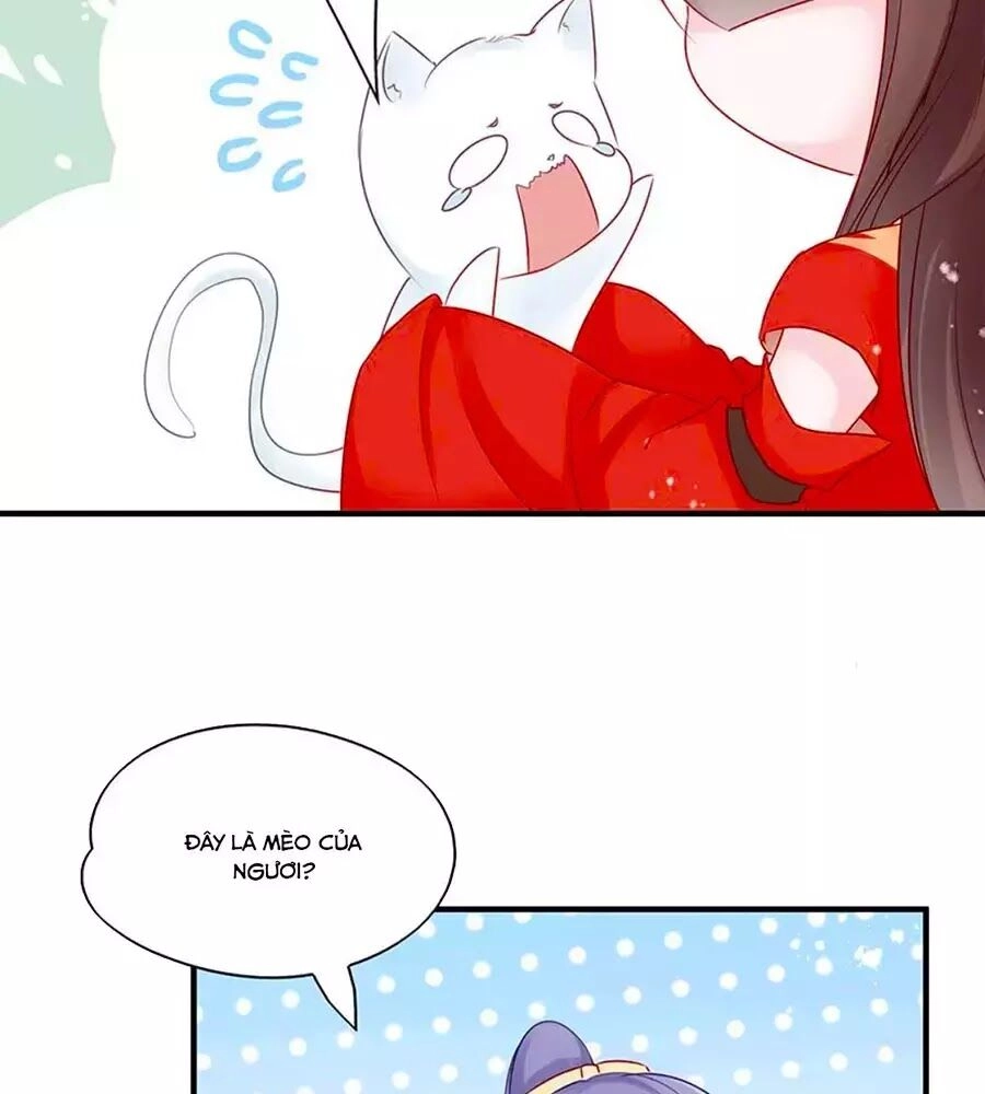 Liệt Hỏa Cuồng Phi: Vương Gia Thú Tính Muốn Sủng Chapter 52 - 20