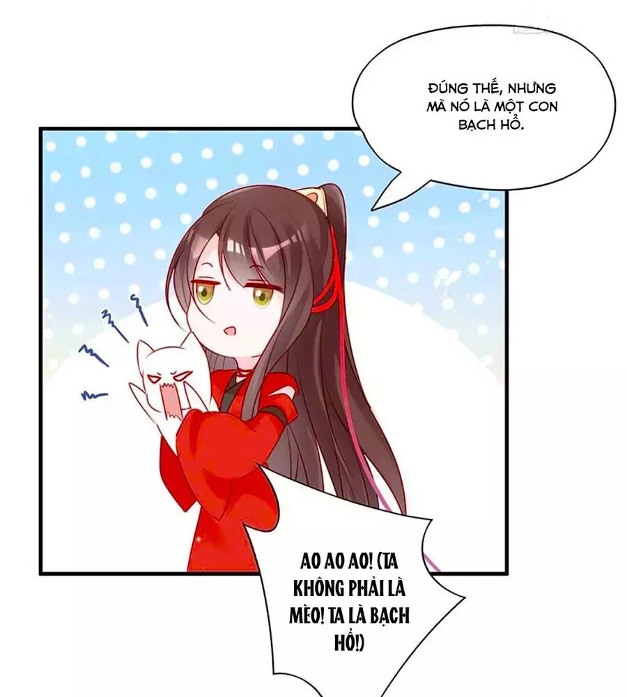 Liệt Hỏa Cuồng Phi: Vương Gia Thú Tính Muốn Sủng Chapter 52 - 22