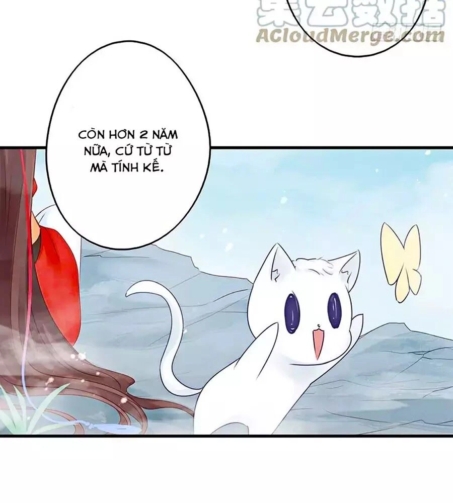 Liệt Hỏa Cuồng Phi: Vương Gia Thú Tính Muốn Sủng Chapter 53 - 24