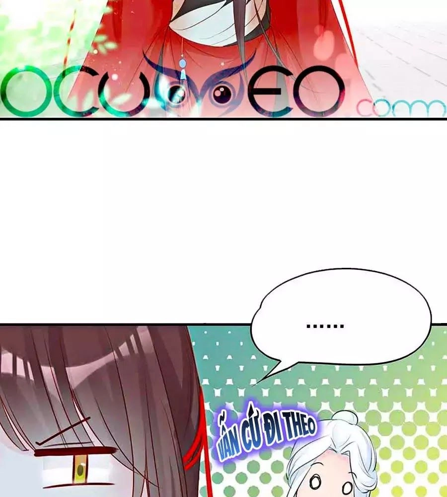 Liệt Hỏa Cuồng Phi: Vương Gia Thú Tính Muốn Sủng Chapter 60 - 3