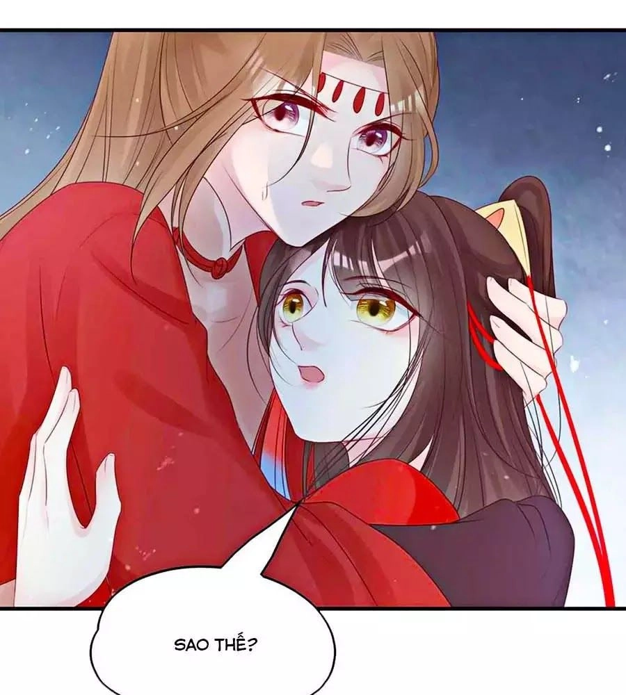 Liệt Hỏa Cuồng Phi: Vương Gia Thú Tính Muốn Sủng Chapter 61 - 51