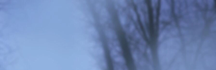 Định Hải Phù Sinh Lục Chapter 10 - 28