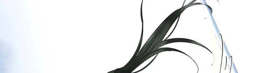 Định Hải Phù Sinh Lục Chapter 12 - 26