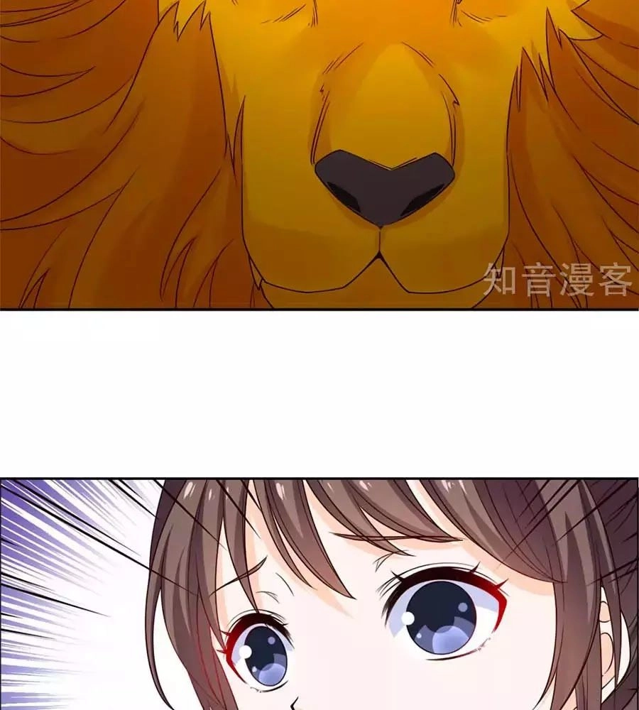 Vương Gia Là Đầu Đại Lão Hổ Chapter 53 - 49