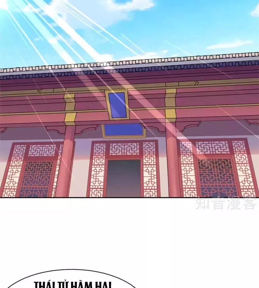 Vương Gia Là Đầu Đại Lão Hổ Chapter 62 - 22