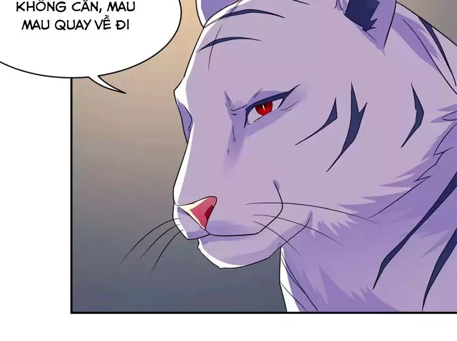 Vương Gia Là Đầu Đại Lão Hổ Chapter 75 - 17