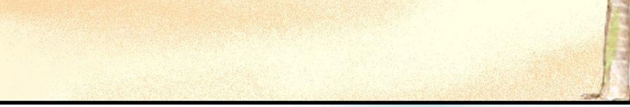 Bí Mật Của Thiên Kim Chapter 34 - 3